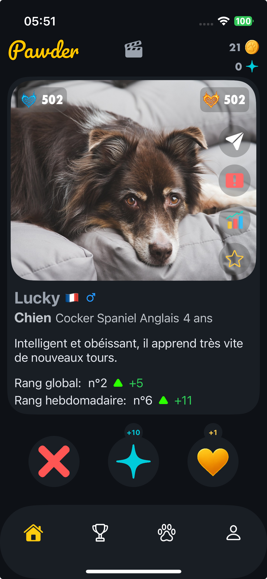 Pawder — capture 1 sur 4